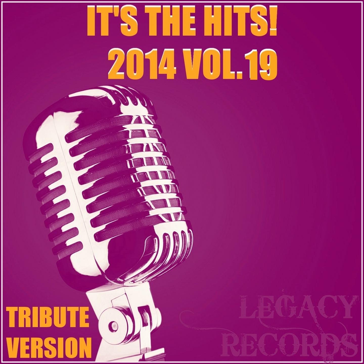 It's The Hits! 2014 Vol.19