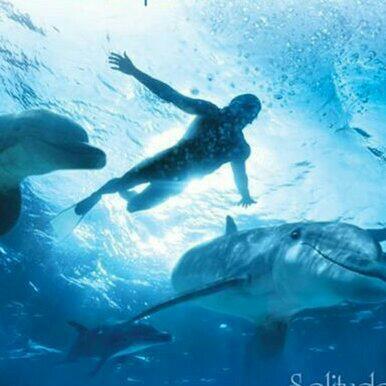 【海声波浪】世界怎么如此安静