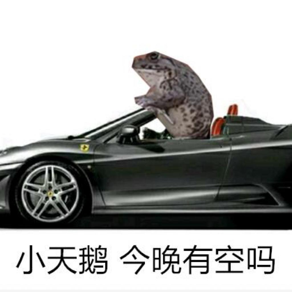 开车记得扎安全带