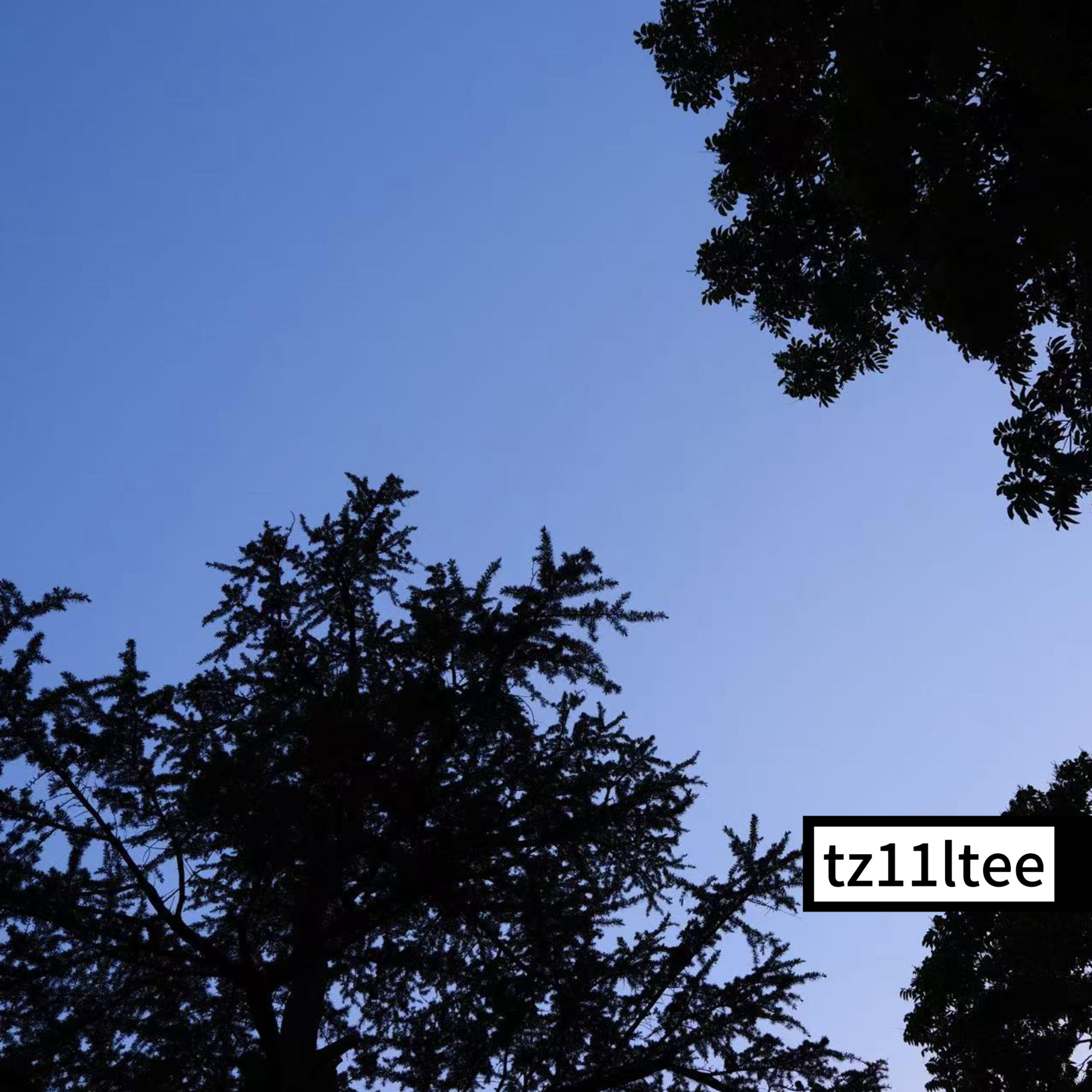 旧信未寄 Letters Unsent