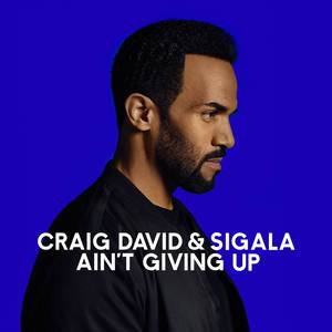 Craig David、Sigala - Ain't Giving Up （降8半音）