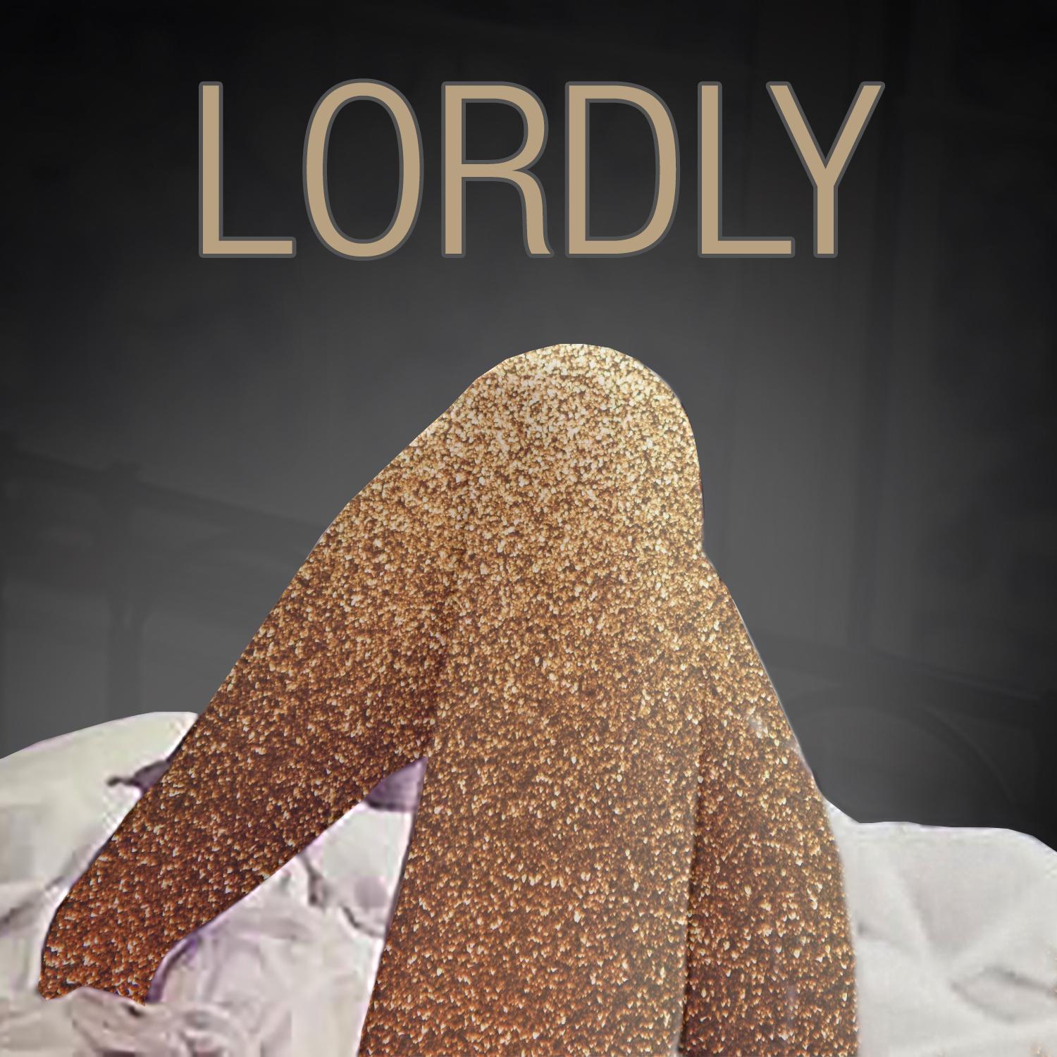 lordly (instrumental remix)