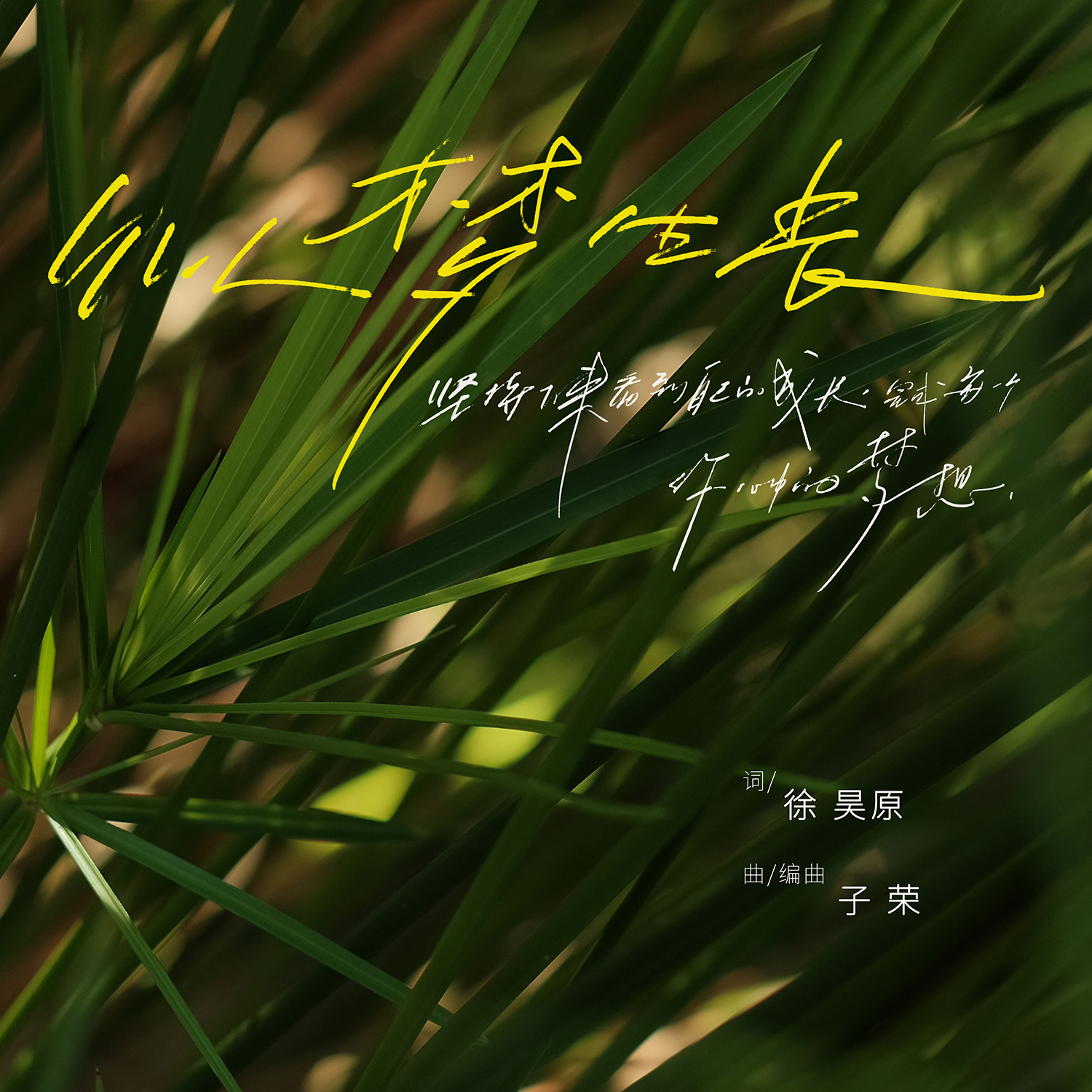 似梦生长
