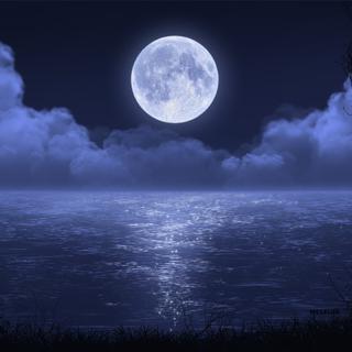 「纯音•雾夜集」淡烟疏澜，浅云润月