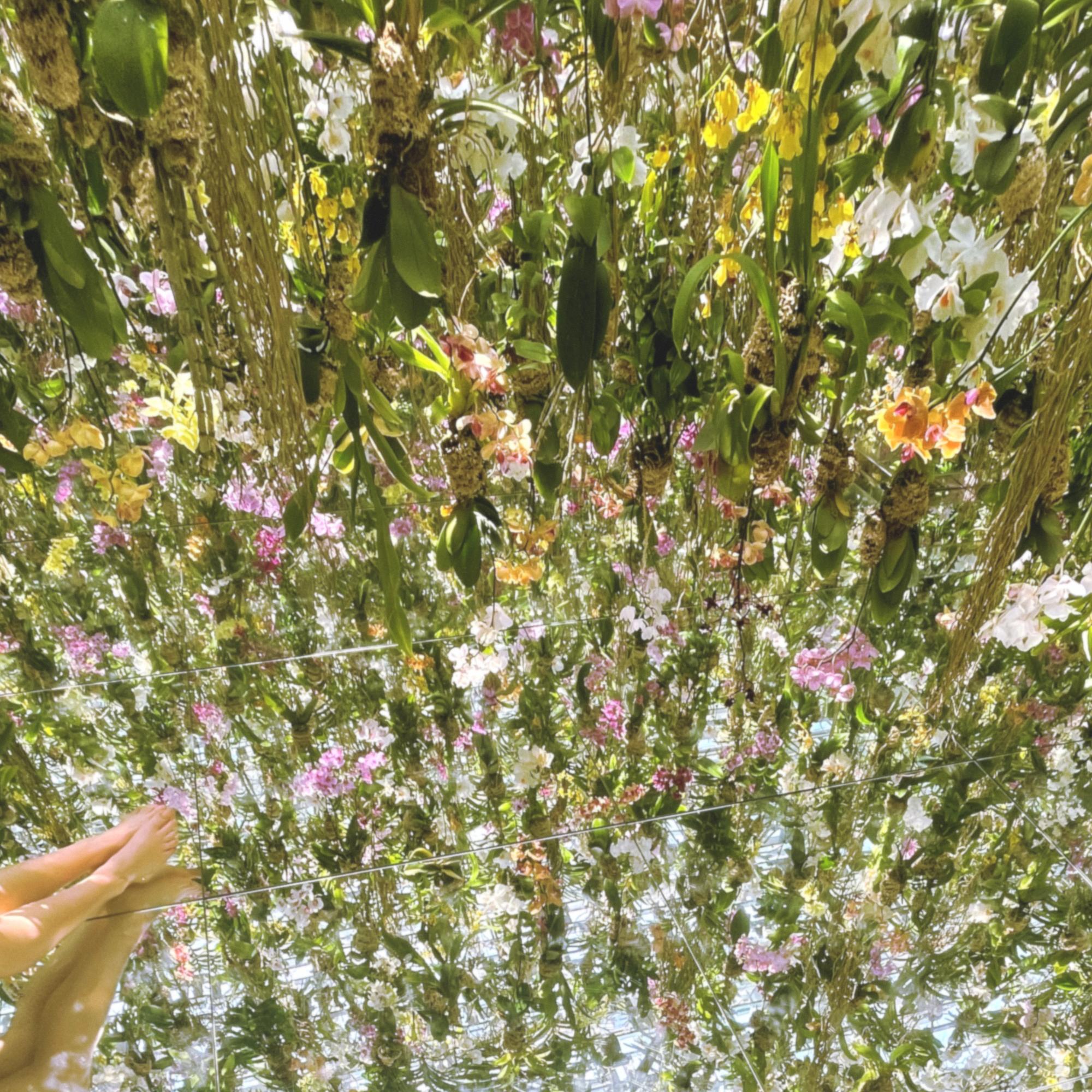 Mirrorland