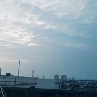 孤独患者的良药