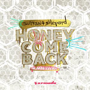 Honey Come Back To Me - Glen Campbell (PM karaoke) 带和声伴奏