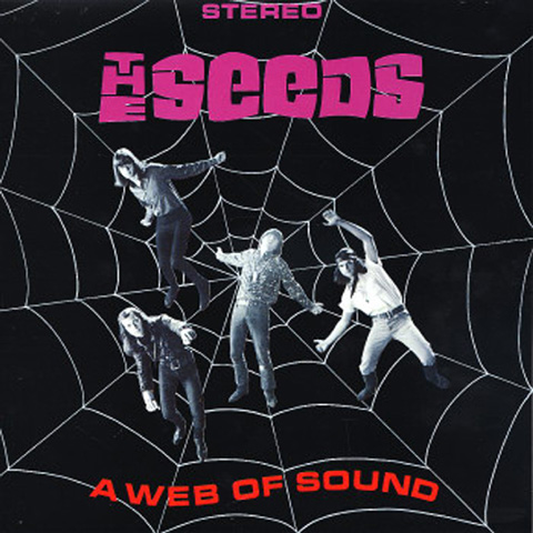 A   Web of Sound