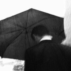 风声鹤唳-抑郁者跌落无径之林