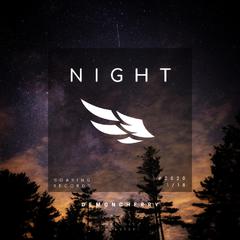 Night(Original Mix)