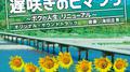 フジテレビ系ドラマ「遅咲きのヒマワリ」オリジナルサウンドトラック专辑