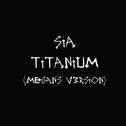 Titanium (Megan's V3rsion)