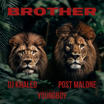 Brother专辑