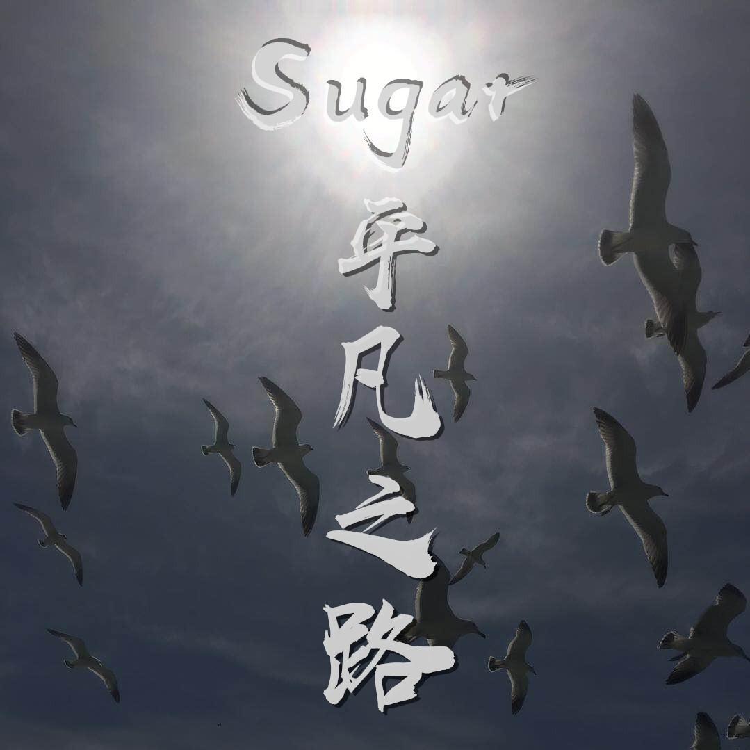 Sugar°选择希望专辑