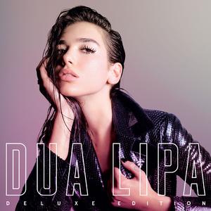 Room for 2 - Dua Lipa (HT Instrumental) 无和声伴奏