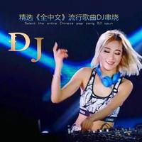 经典老歌DJ.劲爆车载DJ.全中文Disco