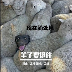 羊了要挺住