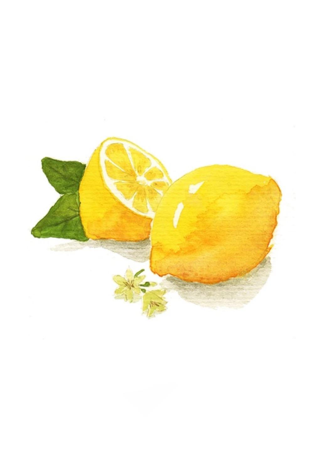 lemon专辑