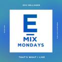 That's What I Like (E-Mix)专辑