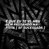 SF SUCESSADA - É QUE EU TE VI MEU BEM PASSANDO NA PISTA (feat. Mc Luan Da Bs)