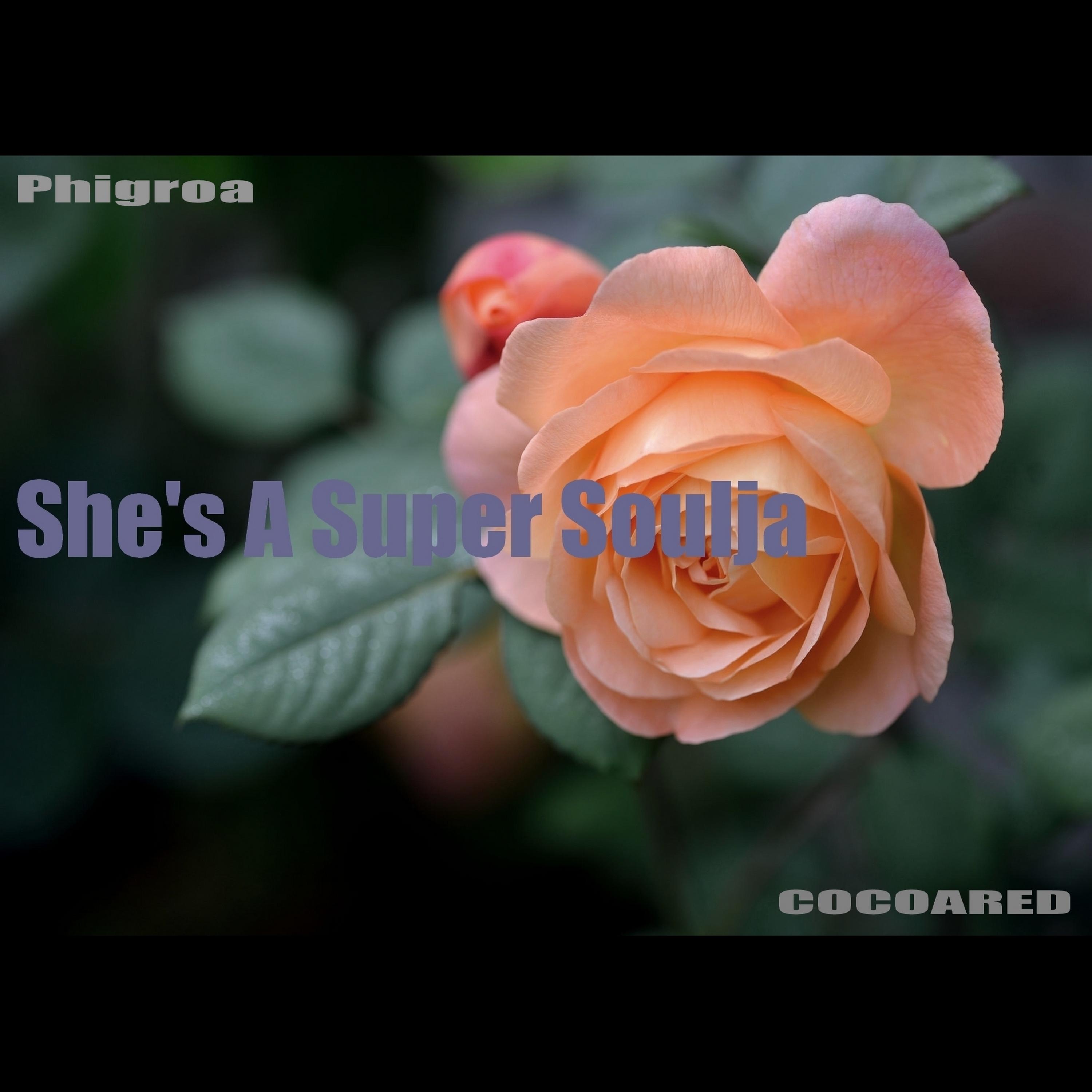 She's A Super Soulja (feat. Phigroa)