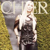 Cher - Different Kind Of Love Song (Instrumental) 无和声伴奏