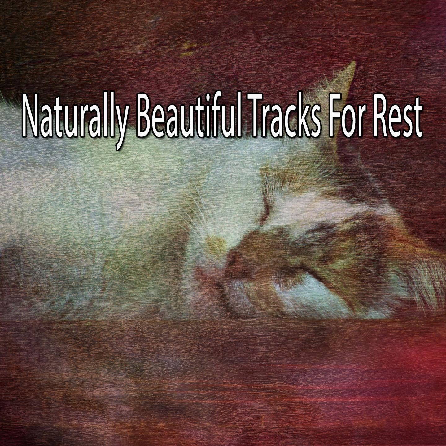 Naturally Beautiful Tracks For Rest专辑