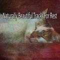 Naturally Beautiful Tracks For Rest