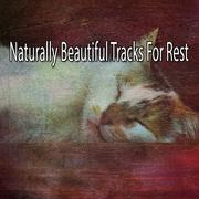 Naturally Beautiful Tracks For Rest