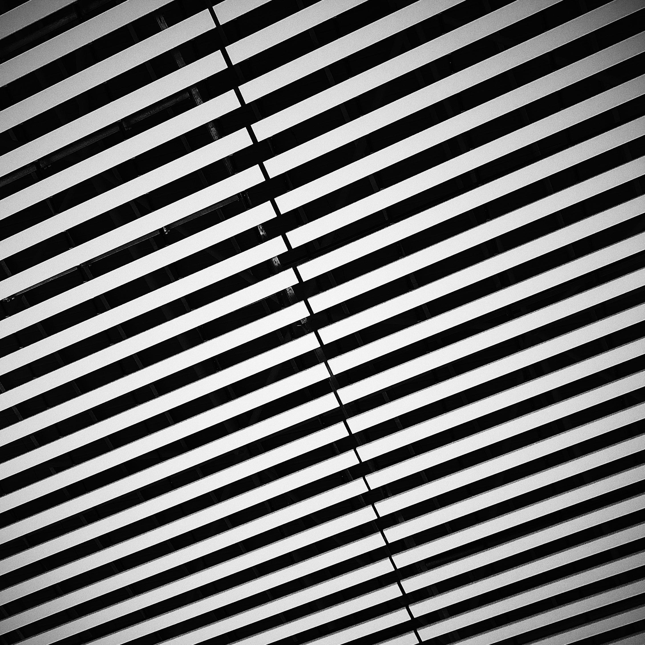 如果有一天我死了,请远离我