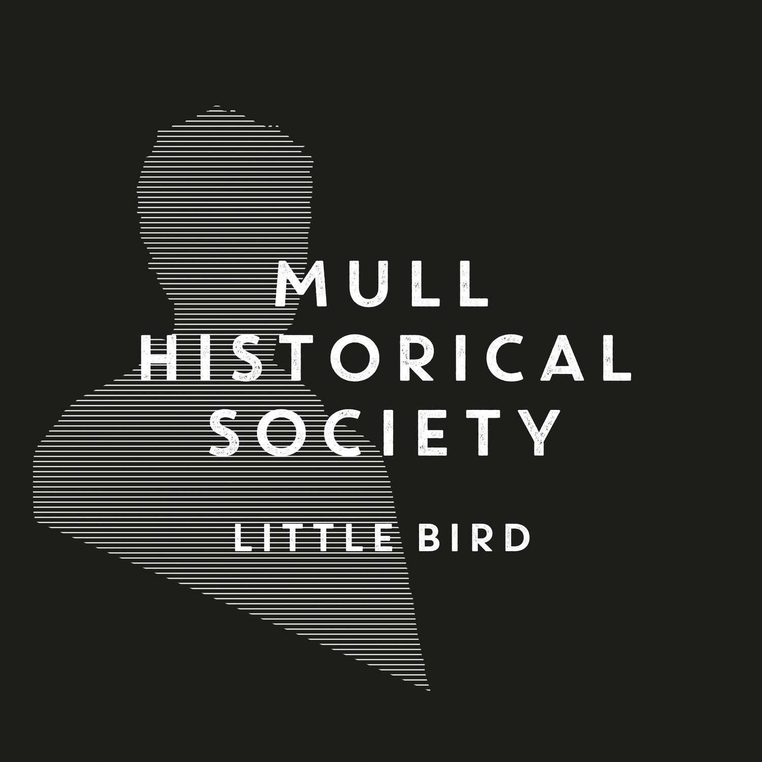 Little Bird