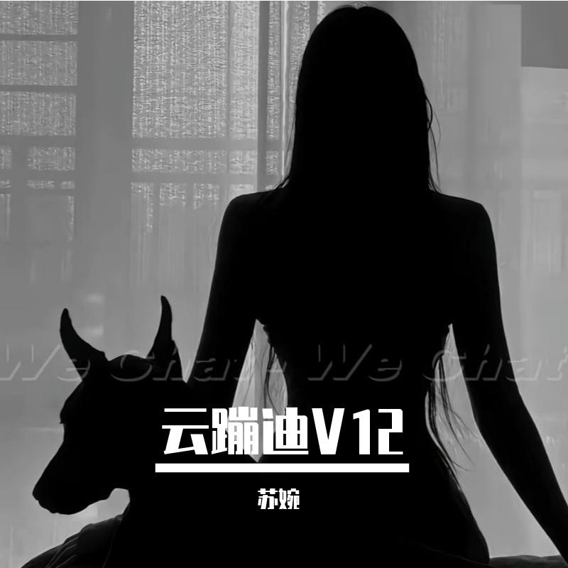 全英文ElectroHouse音乐汕尾辰仔私人订制车载热播现场实录慢摇串烧