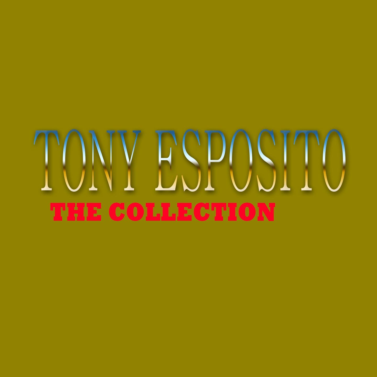 Tony Esposito: The Collection专辑