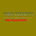 Tony Esposito: The Collection专辑