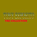 Tony Esposito: The Collection