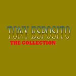 Tony Esposito: The Collection专辑