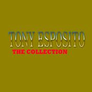 Tony Esposito: The Collection