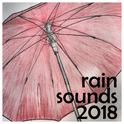 19 Rain Sounds - Loopable, Natural Calming Ambience专辑