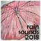 19 Rain Sounds - Loopable, Natural Calming Ambience专辑