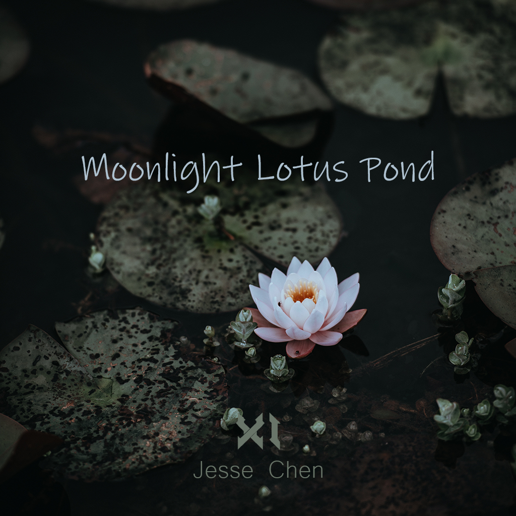 Moonlight Lotus Pond(荷塘月下)专辑