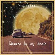 Shawty In My Brain（feat.小猛虎真真）