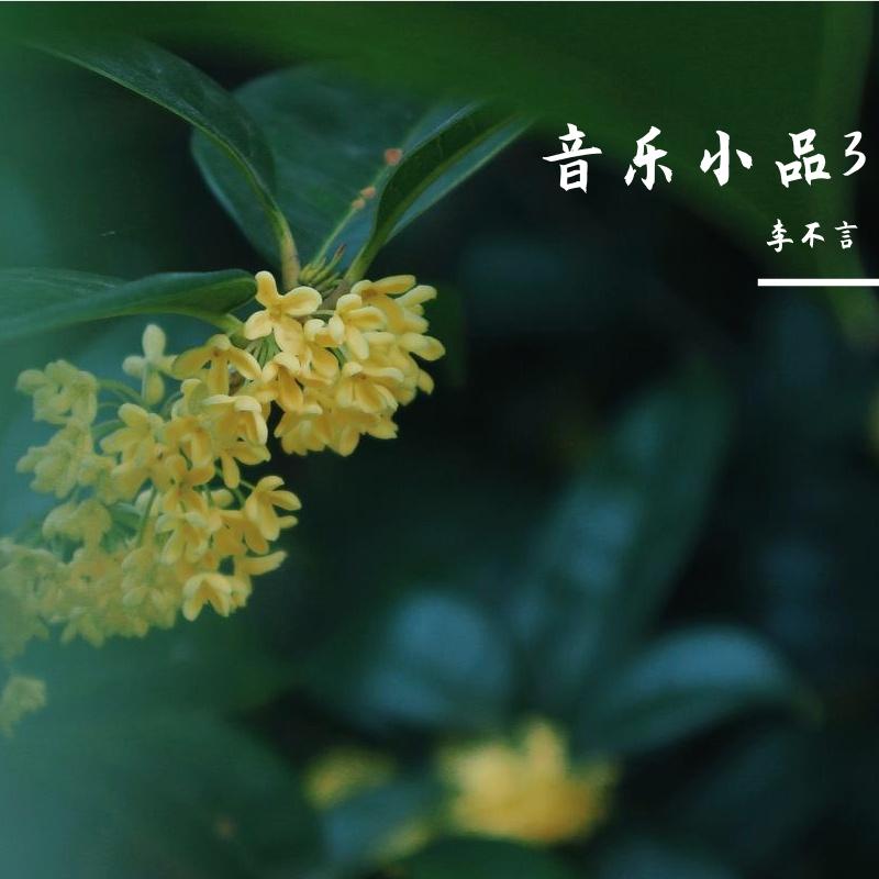 音乐小品3