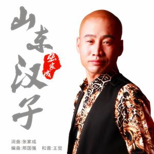 张家成 - 山东汉子(DJ版)