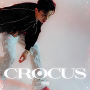 CROCUS