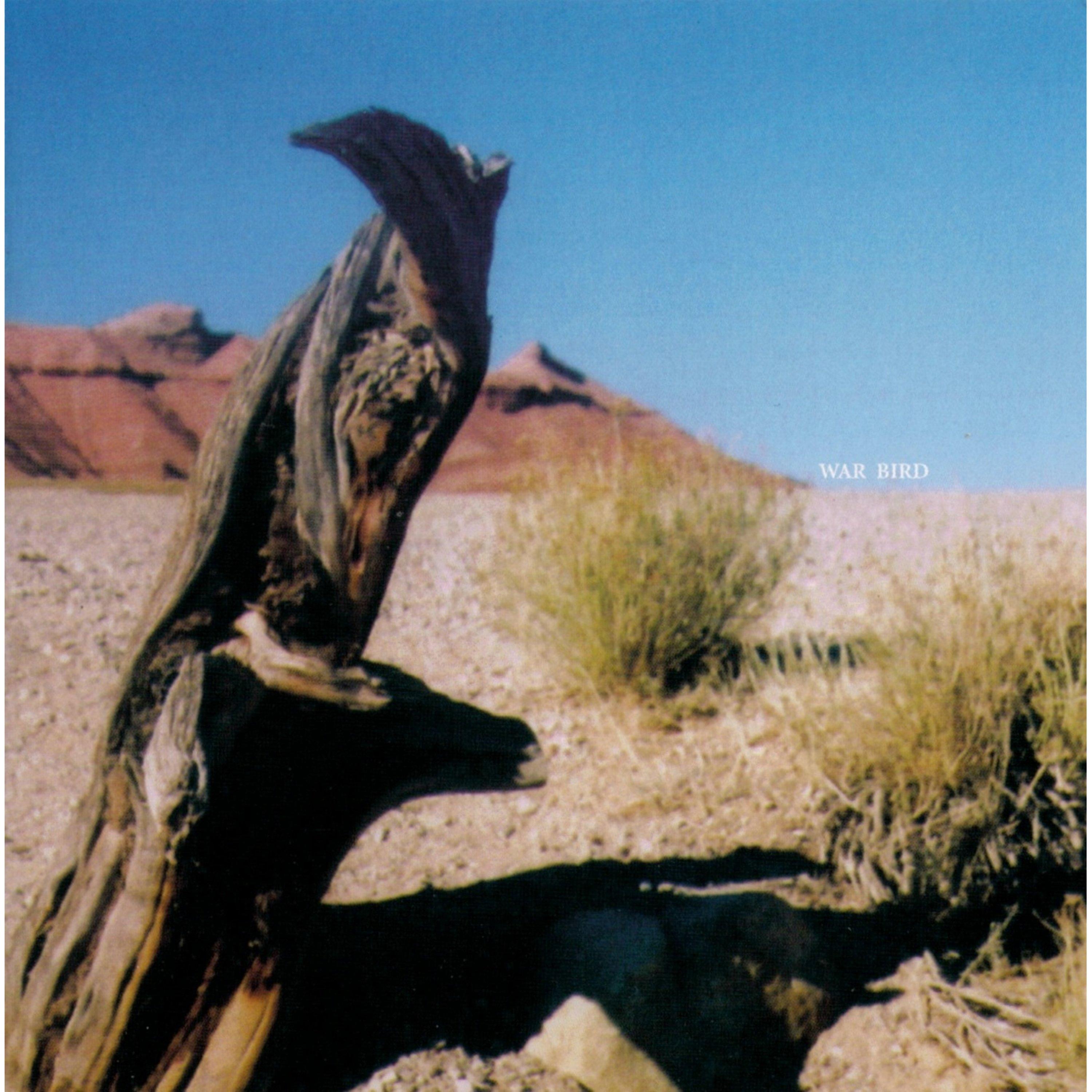 War Bird