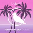  Pump Up The Jam (MÖWE Cover)