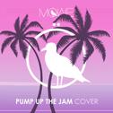  Pump Up The Jam (MÖWE Cover)