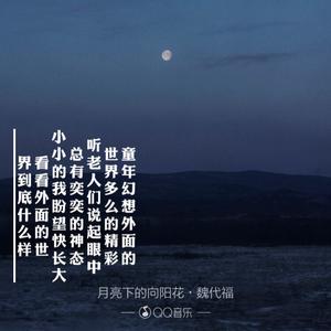 魏代福 - 月亮下的向阳花(原版立体声伴奏) （降2半音）