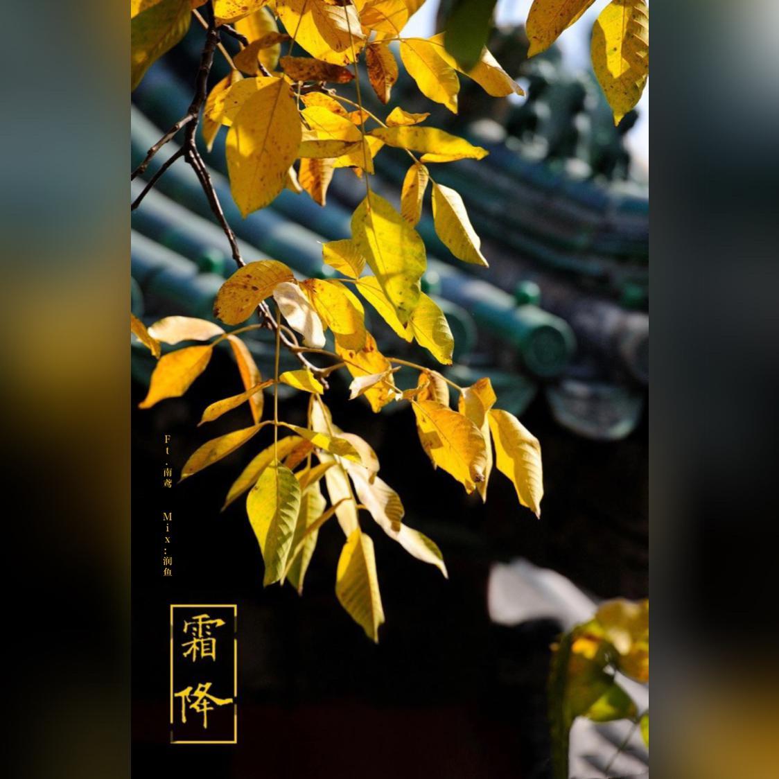 哪里有什么小荷塘啊出来看雪吧