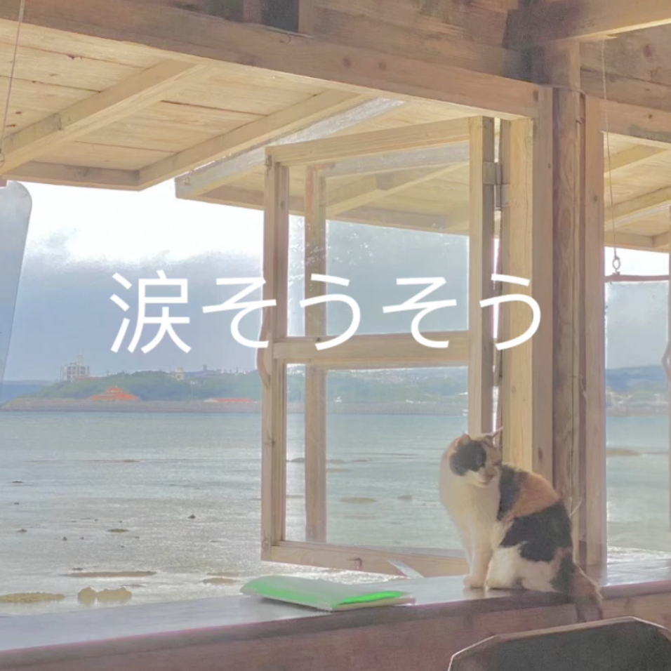 涙そうそう 二胡二重奏